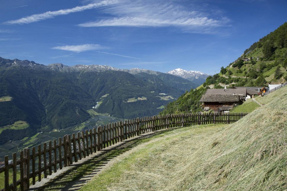 Sommertage mit Bergpanorama und Reschenseeblick - eden.